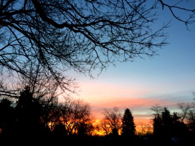 Boulder, 1730 columbine ave, Co 80302