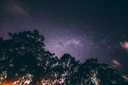 Starry sky stars trees photo
