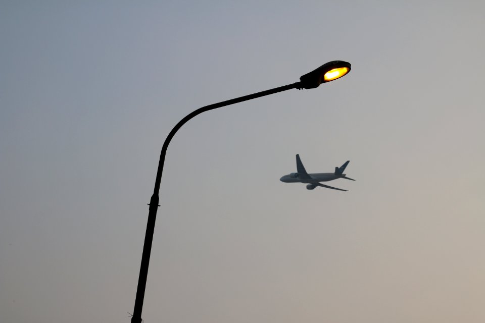 Flying, Evening, Street light