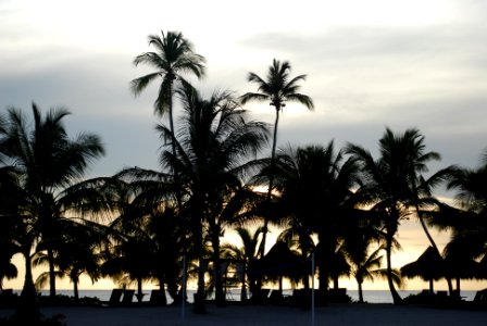Cadaques caribe resort  villas, Dominicus, Dominican republic