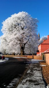 Snow, Church, Winter