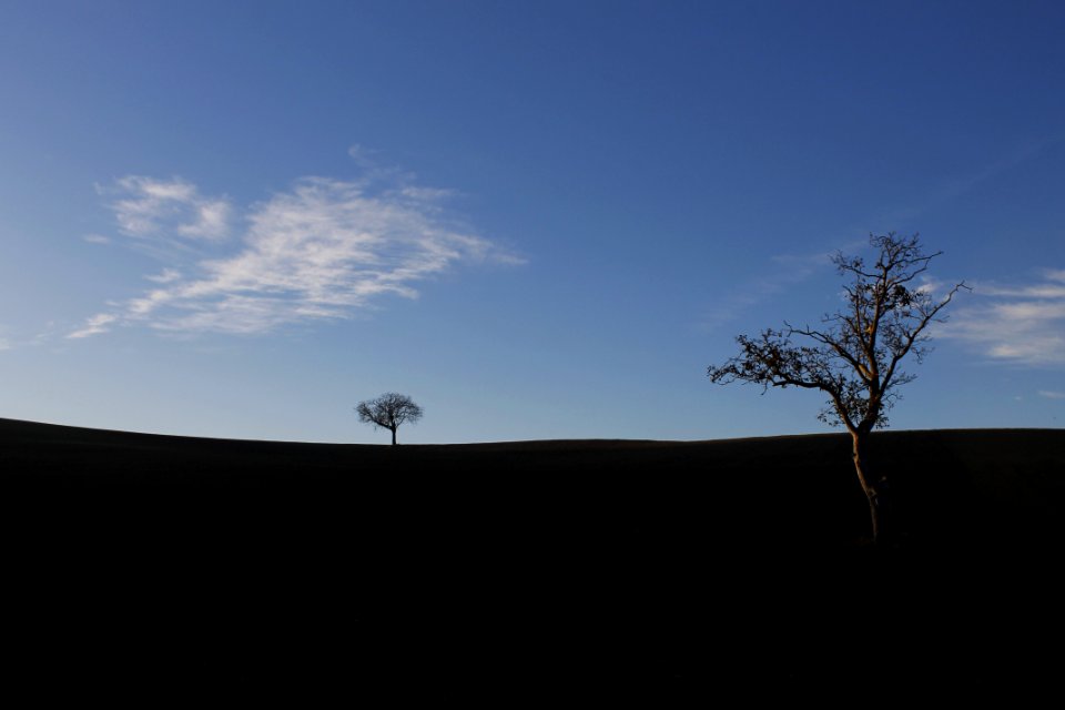 Samatan, France, Scape