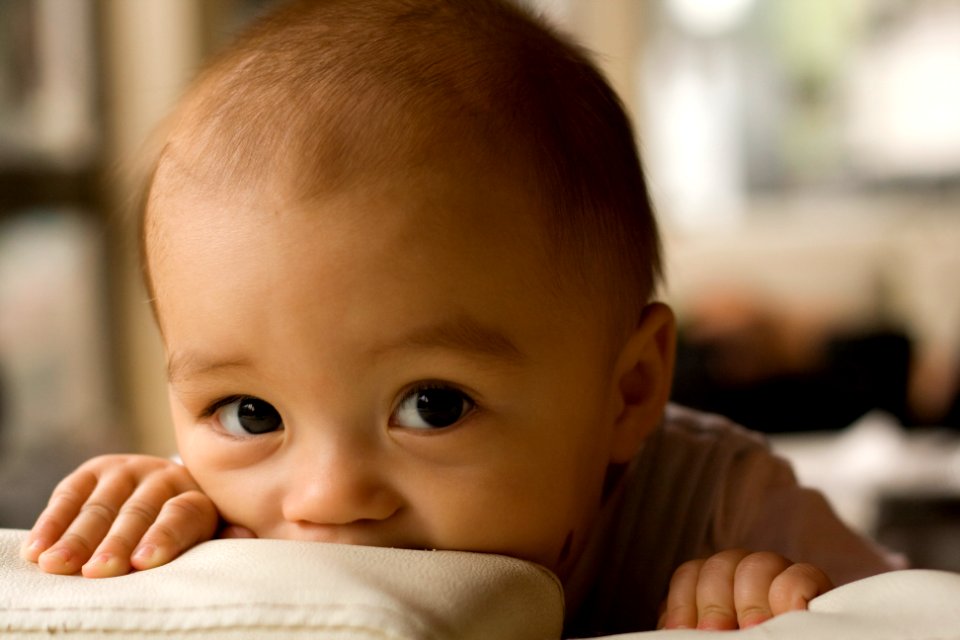 Close up, Playing, Cute