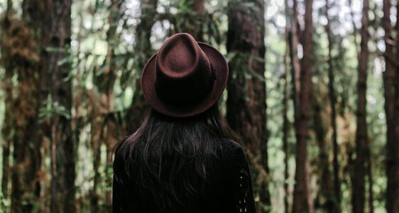 Trees woman woods