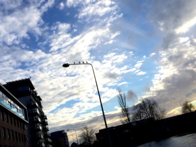 1115 brayford wharf e, Lincoln ln5 7ay, Lincoln
