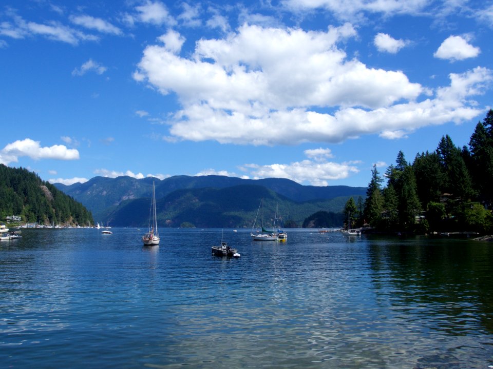 Deep cove, Canada, Forrest