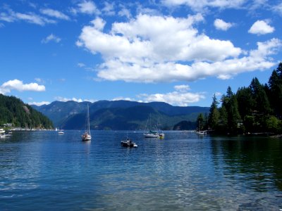 Deep cove, Canada, Forrest