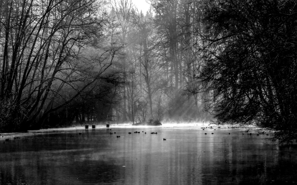 Valmont, France, Lake