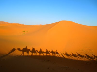 Rissani, Morocco, Nature