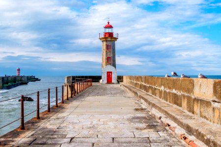 Seagulls, Sea, Lighthouse