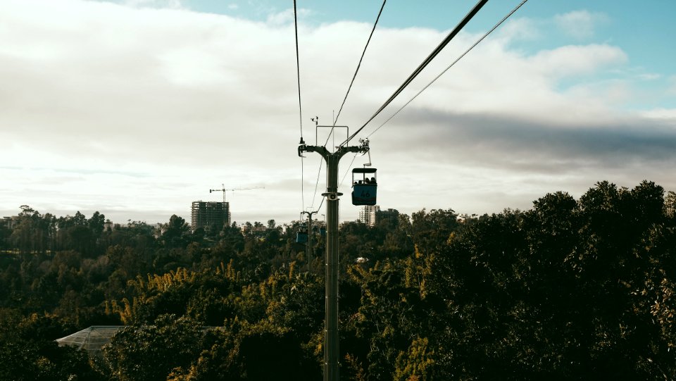 San diego zoo, San diego, United states