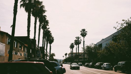 La jolla, San diego, United states