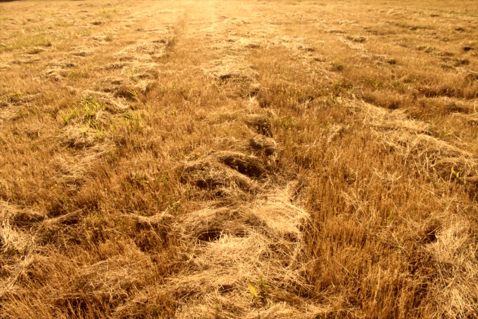 Battle ground, United states, Perspective