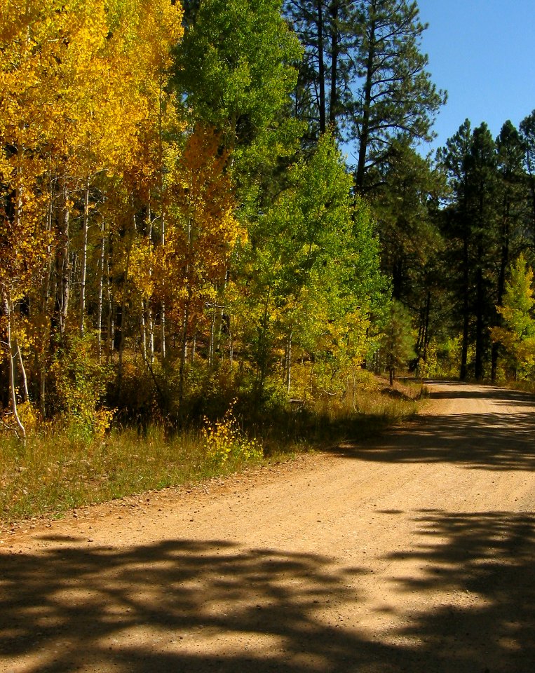 Durango, United states, Fall