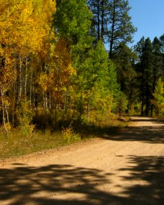 Durango, United states, Fall