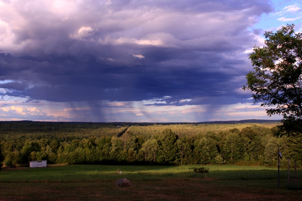 Corinna, United states, Sunny