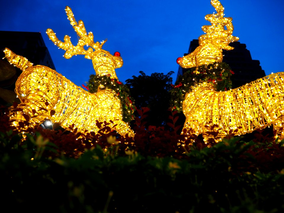 Orchard road, Singapore, Night