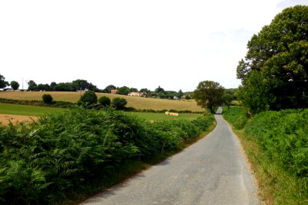 Vende, France, Road