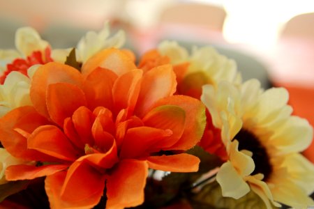 Wedding, Orange, Flowers