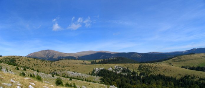 Munii cpnii, Romnia