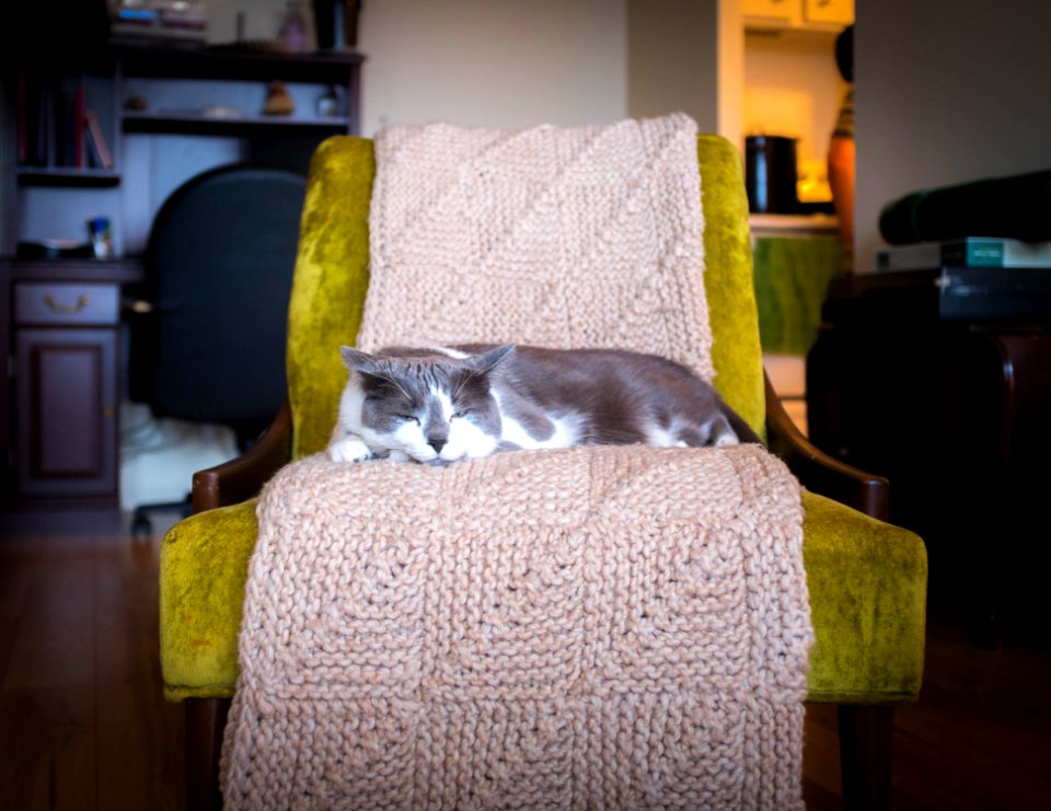 Living room, Blanket, Green