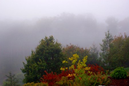 Cashiers, United states, Mist