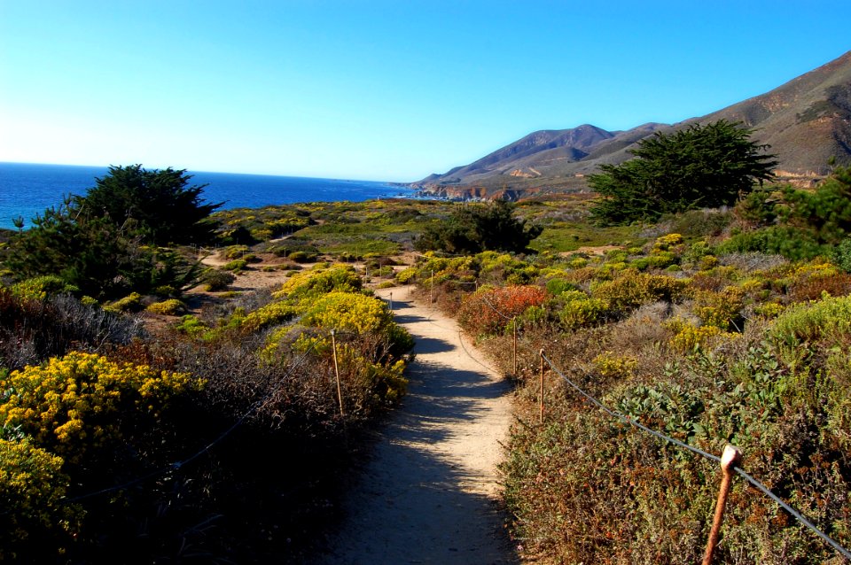 Ocean view, Ocean, Green