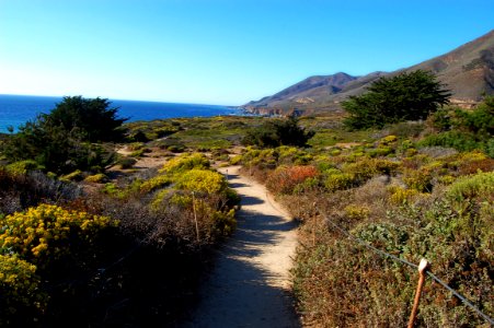 Ocean view, Ocean, Green