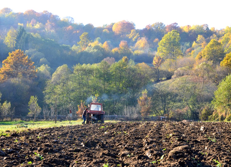 Tractor, Woman, Cava