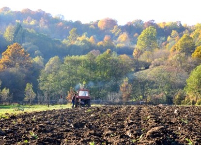 Tractor, Woman, Cava
