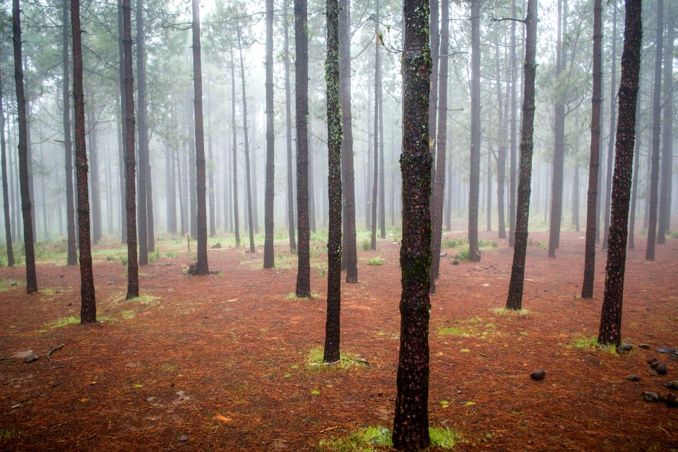 Nature, Inspiration, Spain