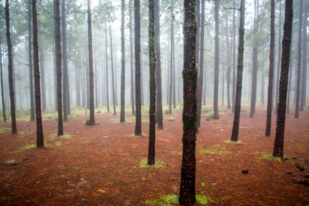 Nature, Inspiration, Spain