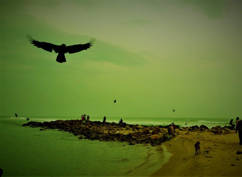 Rushikonda beach, India, Beach