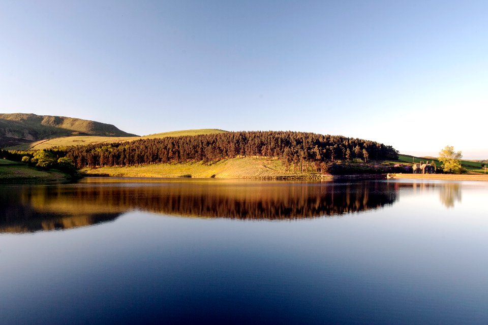 Sunny, Lake, Reflection