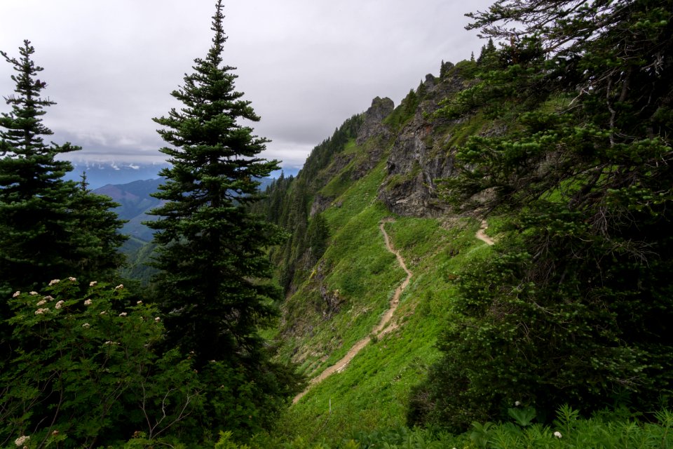 Sauk mountain, United states, Nature