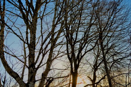 Sweden, Day, Sky