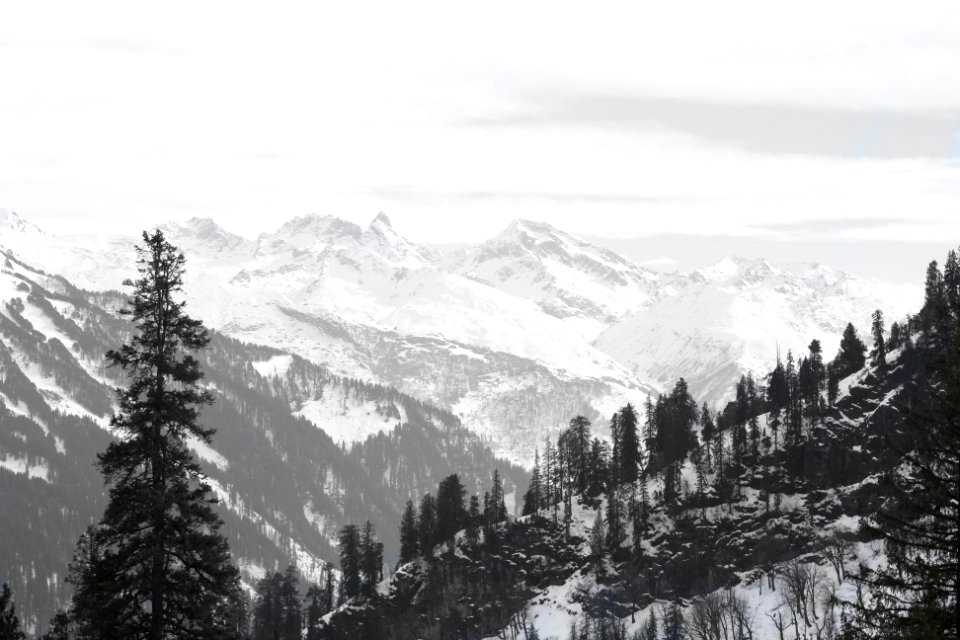 India, Manali, Scenery