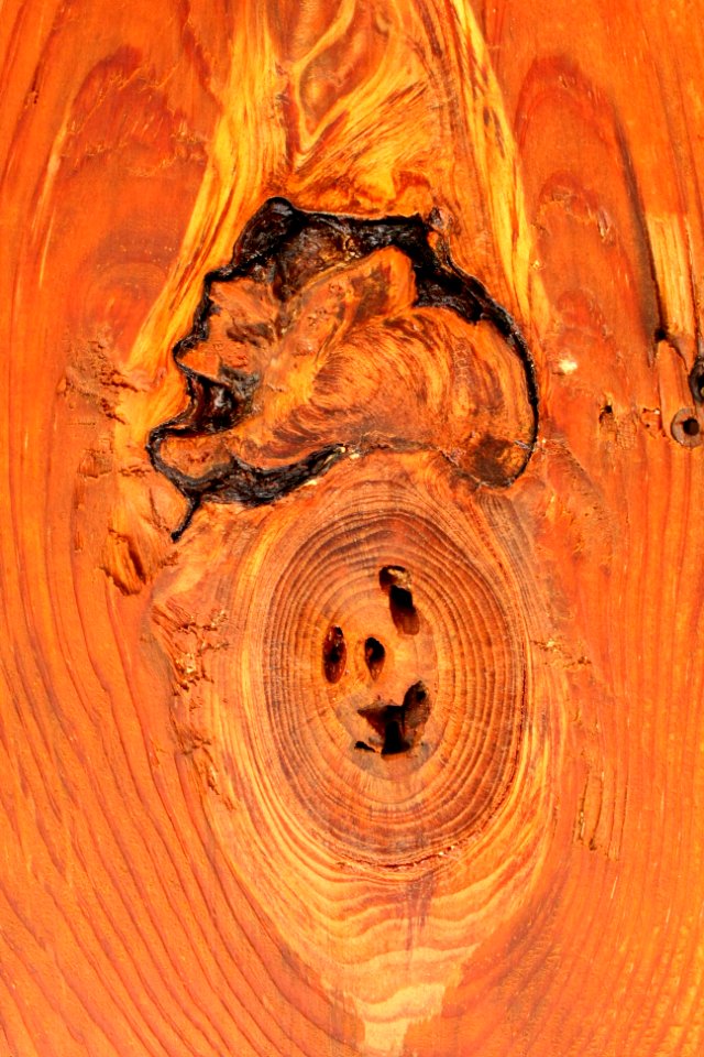Texture, Wood, Pareidolia