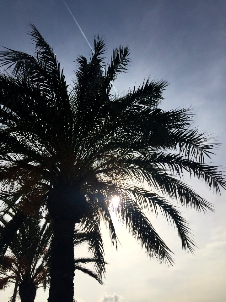 Barcelona, Spain
