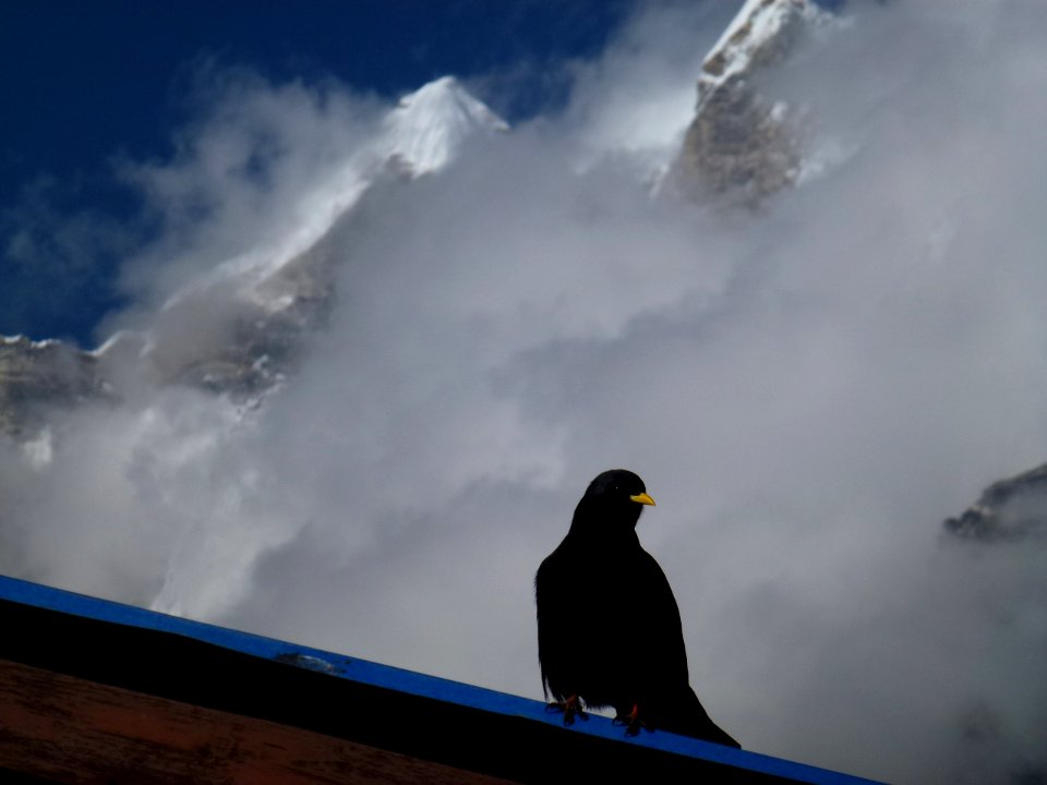 Langtang national park, Helambu, Nepal