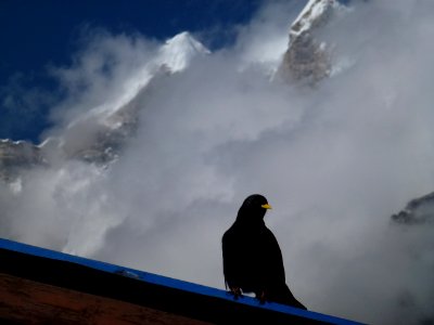 Langtang national park, Helambu, Nepal