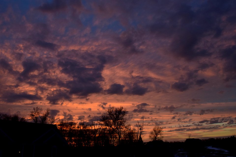 Sykesville, United states, Nature
