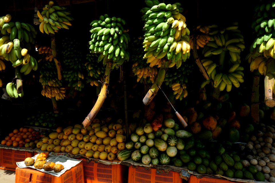 Colombo, Sri lanka, Fruit
