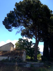 Padul, Alusia, Spain