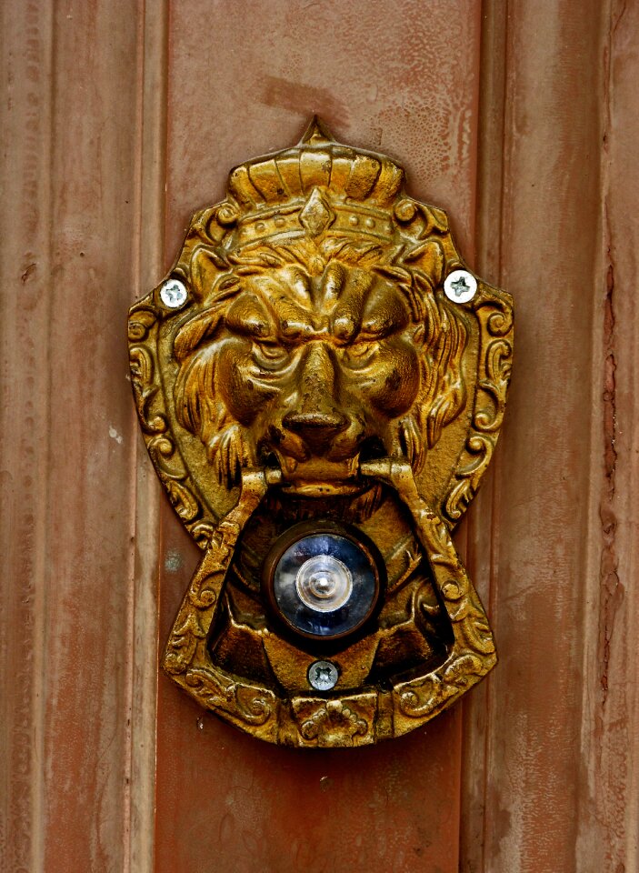 Eye door brown door