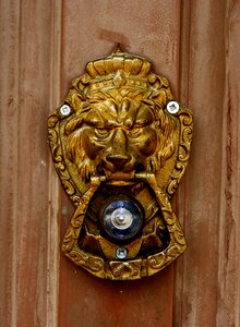 Eye door brown door