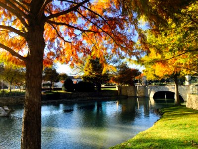 Dallas, United states, Park