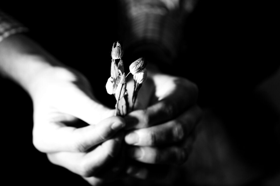 Hands miniature male