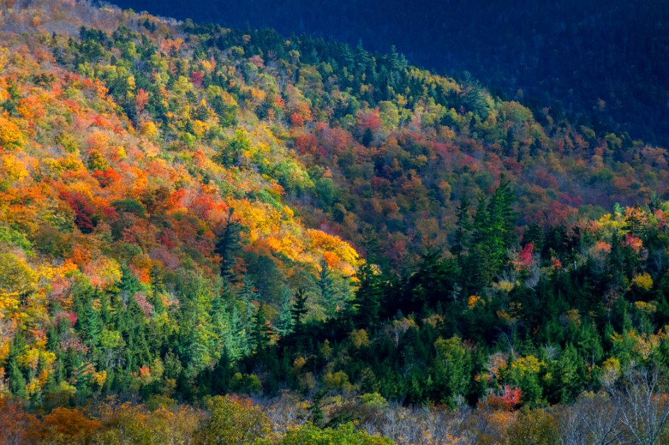 White mountains, Lincoln, United states