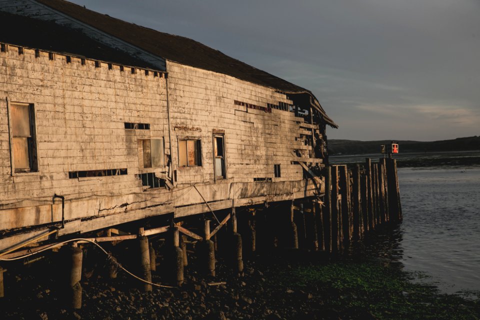 Bodega bay, United states, Marina